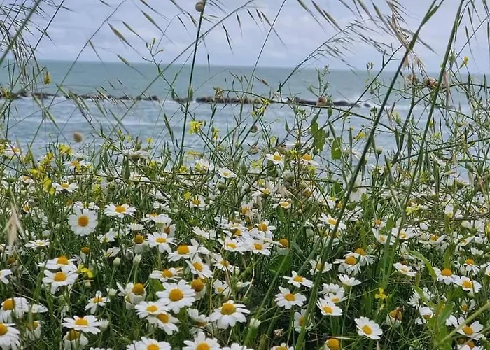 Διαμέρισμα Gabry's Ortona